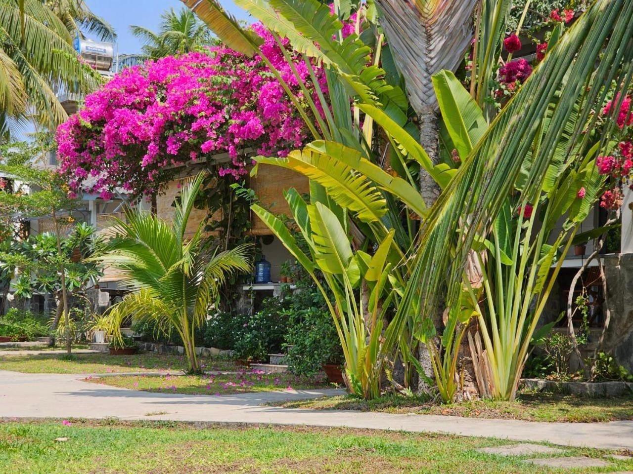 Catsen Bungalows & Pool بهان ثيت المظهر الخارجي الصورة